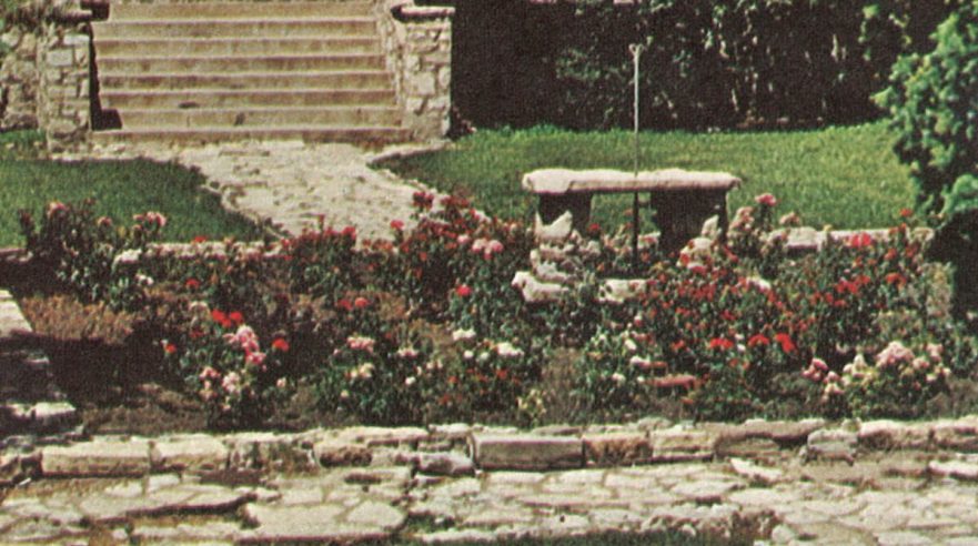 Rose garden 1971.