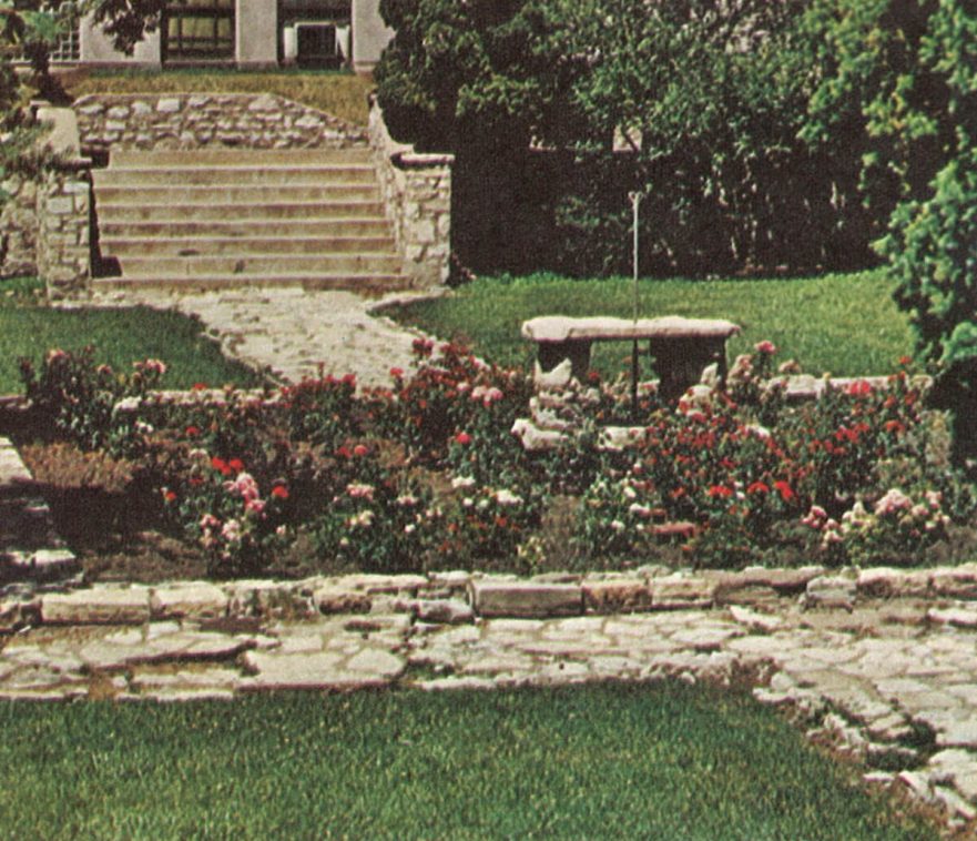 Rose garden 1971.